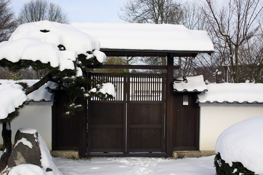 Jetzt wirkt der japanische Garten in Bielefeld eher monochom