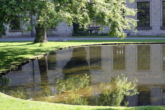 Ein Teil der Raspi spiegelt sich im Wasser des Ravensberger Parks