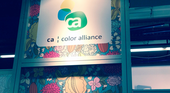 Color Alliance Living in OWL