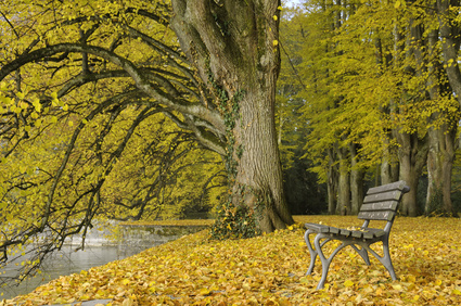 Herbst im Lindenhofpark bei Lindau