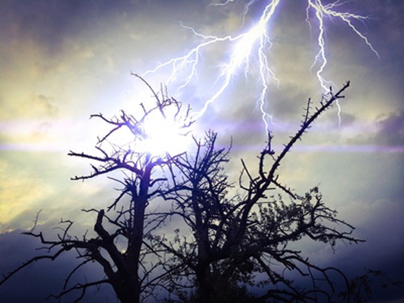 Blitzeinschlag in einen Baum - Thunderstorm