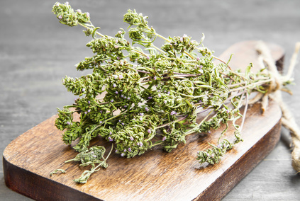 Thyme Culinary Herb