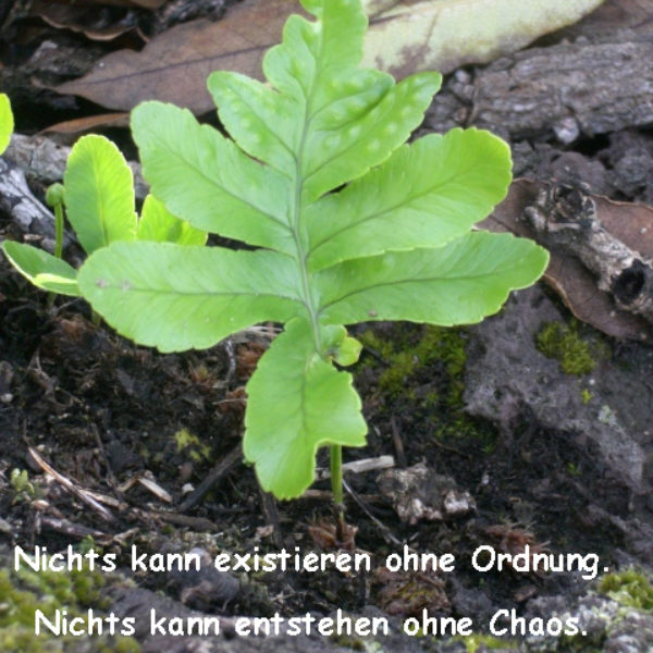Der beste Aufräumtag ist heute!