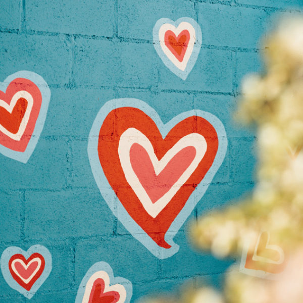 Arteriosklerose – das Märchen vom Cholesterin, Teil II