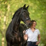 wingwave® im Reitsport