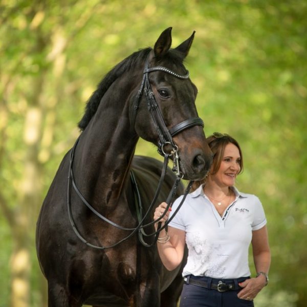 Mentale Stärke im Sattel – wingwave® im Reitsport