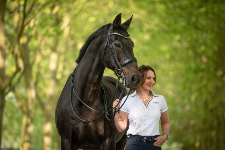 wingwave® im Reitsport