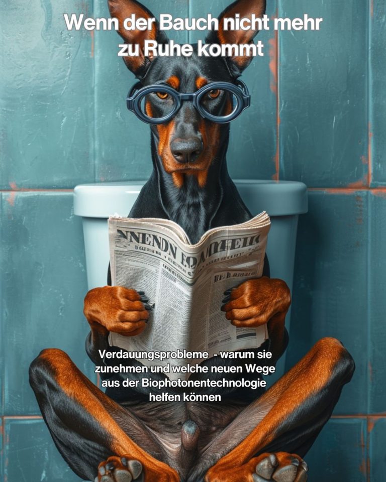 Hund mit Brille sitzt auf der Toilette und liest Zeitung – humorvolle Darstellung für Verdauungsprobleme bei Tieren.“