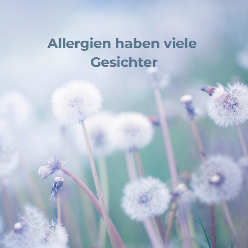 Pusteblumen im Sonnenlicht – Symbol für neue Wege bei Allergien.