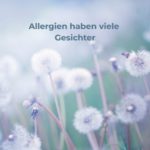 Pusteblumen im Sonnenlicht – Symbol für neue Wege bei Allergien.