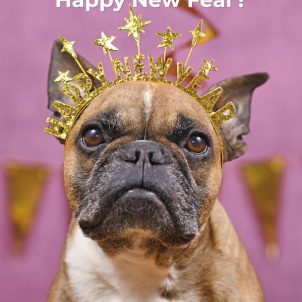 Angst, Stress & Silvesterpanik