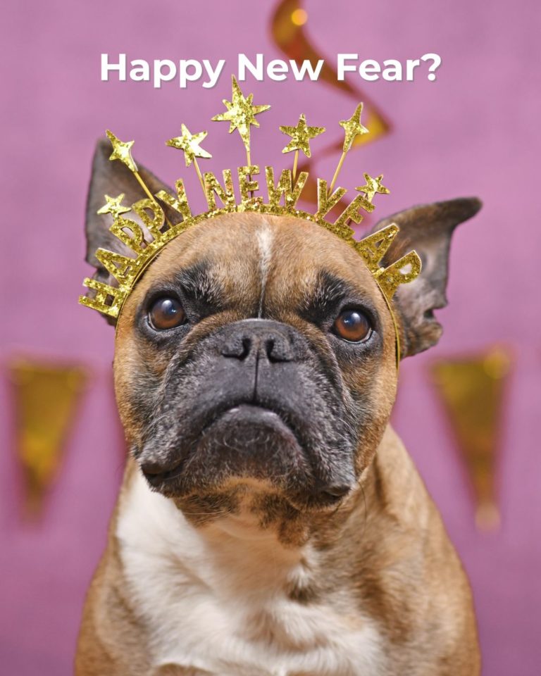 Französische Bulldogge mit „Happy New Year“-Krone – Symbol für Silvesterangst bei Tieren und Einsatz des Biophotonenlaser zur Stressreduktion.