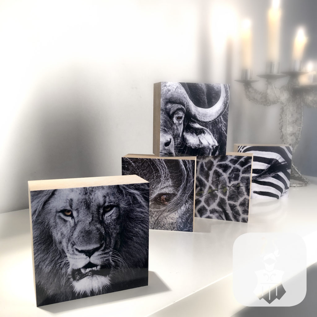 Fotokunst aus Bielefeld – Tierporträts von Irene von Uslar auf Holzblöcken, aufgenommen bei Made in Bielefeld im Möbel-Bahnhof