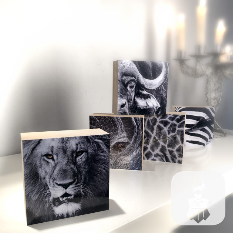 Fotokunst aus Bielefeld – Tierporträts von Irene von Uslar auf Holzblöcken, aufgenommen bei Made in Bielefeld im Möbel-Bahnhof
