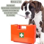 Hund mit Thermometer im Maul neben einem orangefarbenen Erste-Hilfe-Koffer – Symbolbild für die Notfall-Hausapotheke mit Biophotonenlaser für Mensch und Tier.