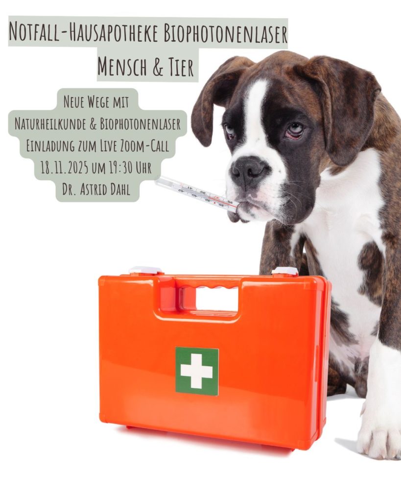 Hund mit Thermometer im Maul neben einem orangefarbenen Erste-Hilfe-Koffer – Symbolbild für die Notfall-Hausapotheke mit Biophotonenlaser für Mensch und Tier.