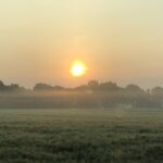 Morgens um fünf mit Nebel über den Feldern, stille Landschaft bei Tagesanbruch.