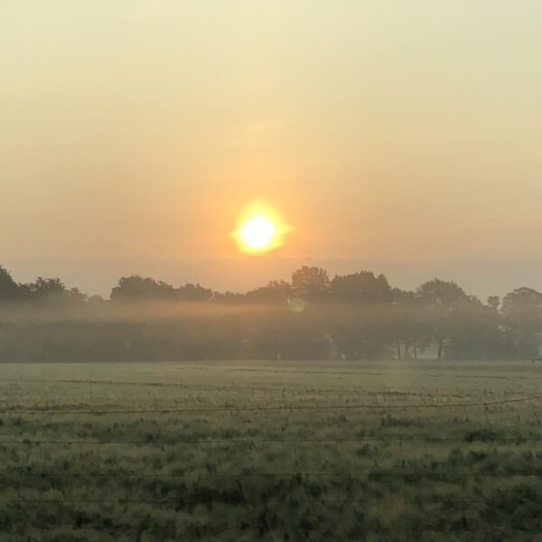 Morgens um fünf ist die Welt noch in Ordnung