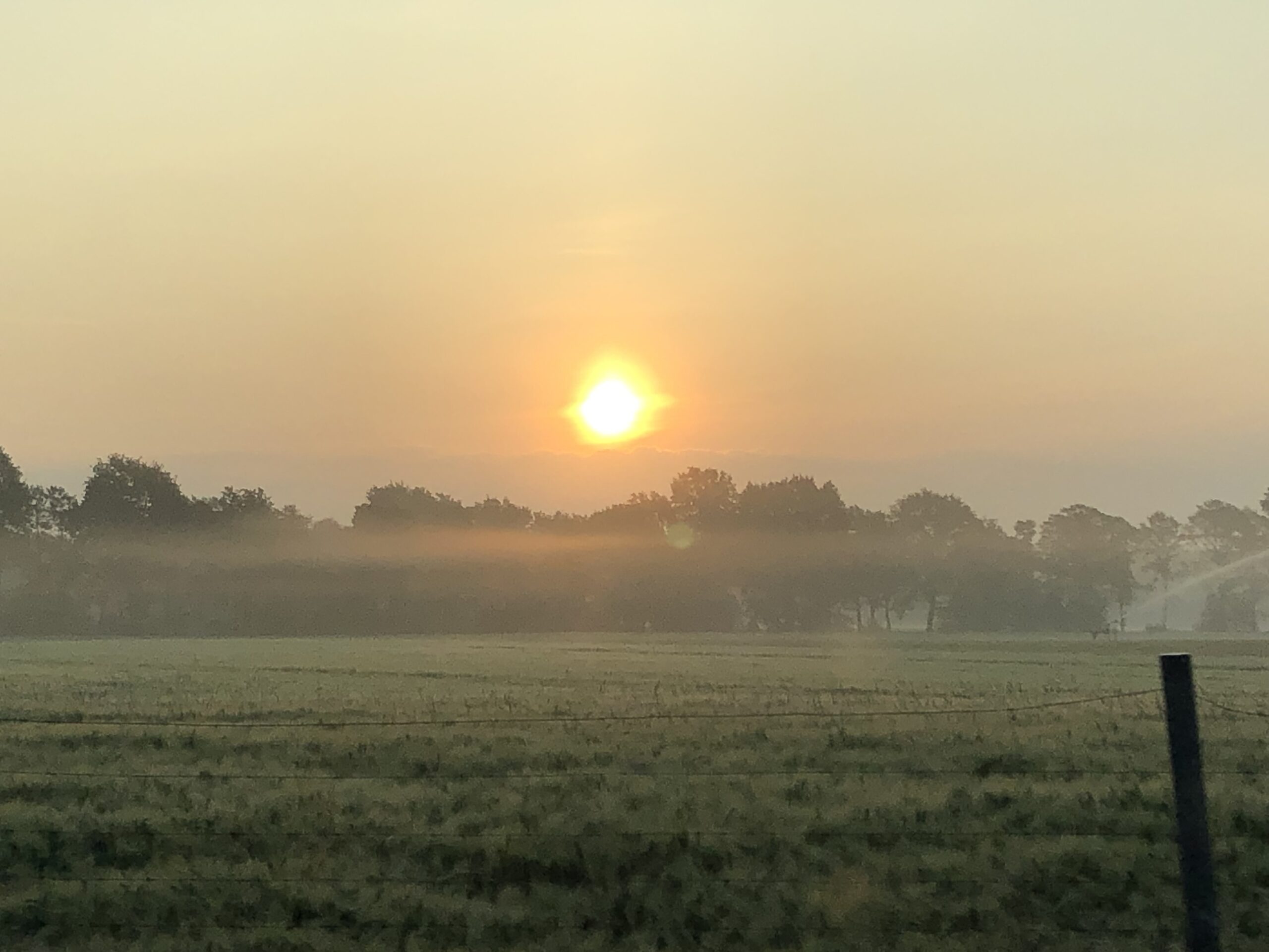 Morgens um fünf mit Nebel über den Feldern, stille Landschaft bei Tagesanbruch.